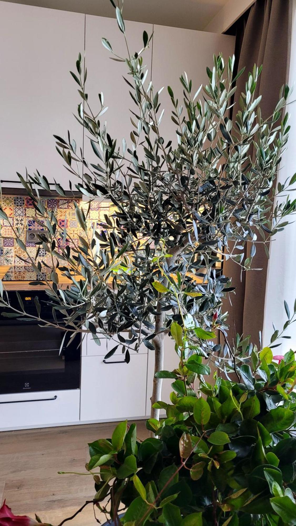 Appartamento Soleggiato Z Basenem Dziwnów Buitenkant foto