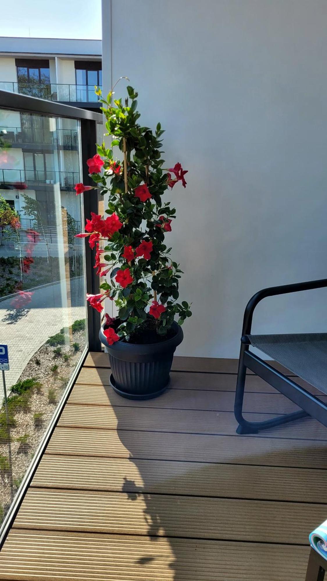 Appartamento Soleggiato Z Basenem Dziwnów Buitenkant foto